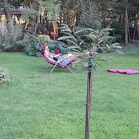 Pensjonat Vidravar
