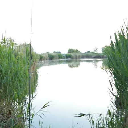 Vidravar