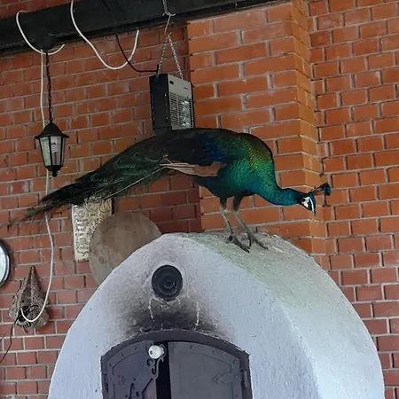 Vidravar Guest house Tabdi