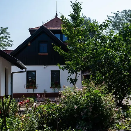 Konukevi Vidravar 3*