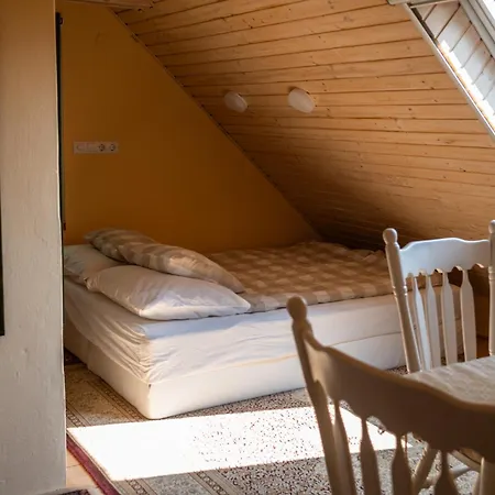 Guest house Vidravar 3*