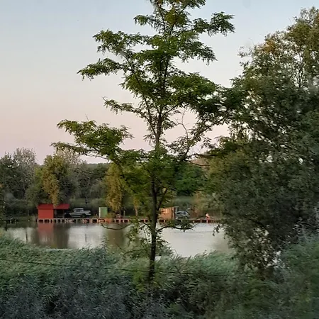 Vidravar