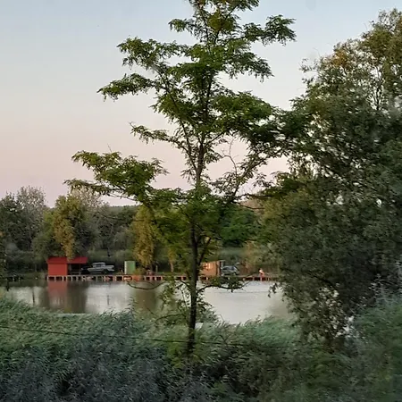 Vidravar