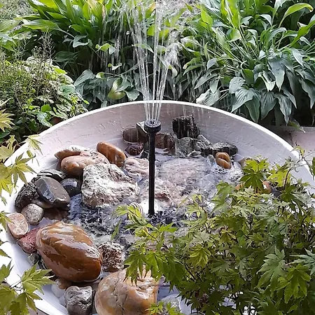 Konukevi Vidravar Tabdi