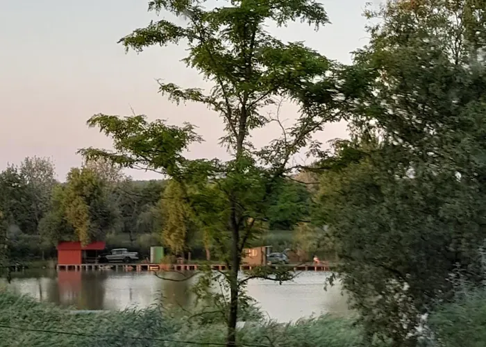 Vidravar